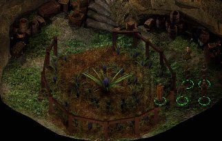 Ce jardin est original non ?