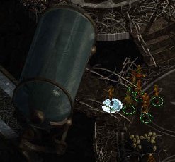 Qui se cache dans cet aquarium ?
