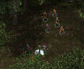 Drizzt et ses compagnons
