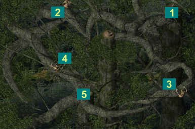 La Carte de l'Arbre de Vie